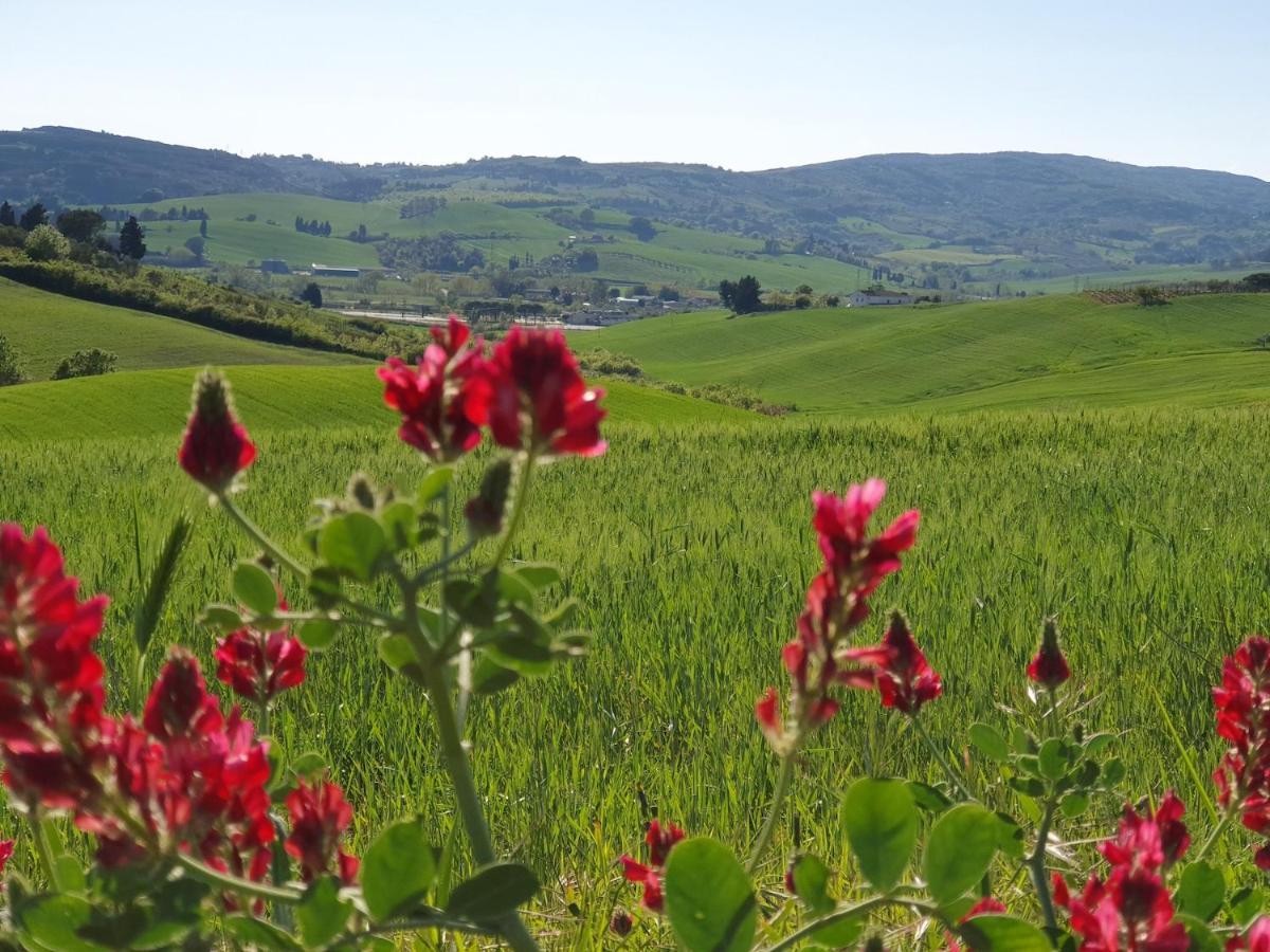 Il Giogo Agroturismo *