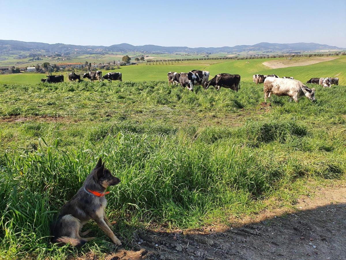 Agroturismo Il Giogo