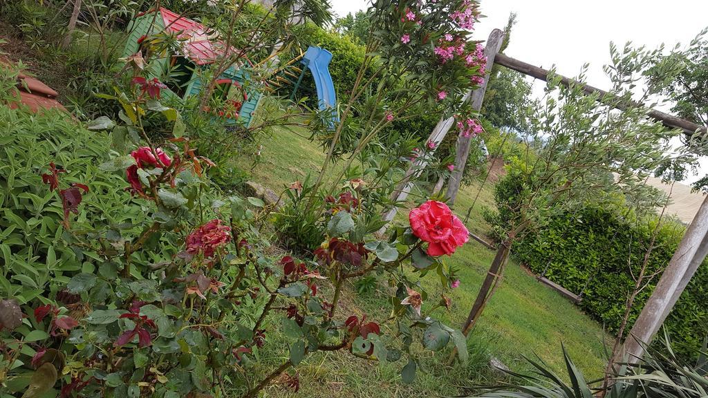 Agroturismo Il Giogo Rosignano Marittimo