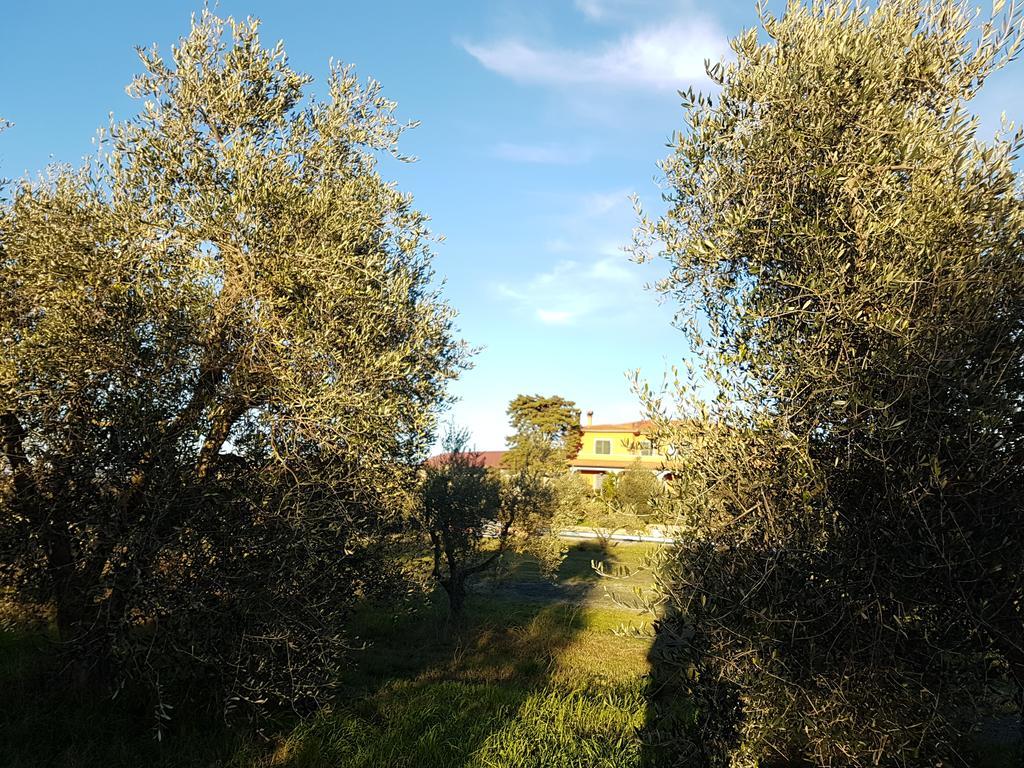 Agroturismo Il Giogo *